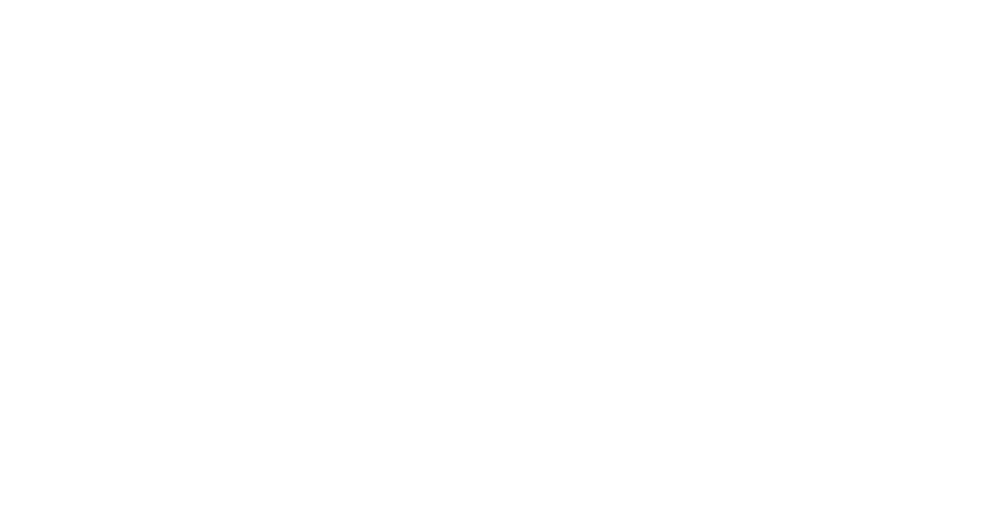 DIENER-BLANCO.png