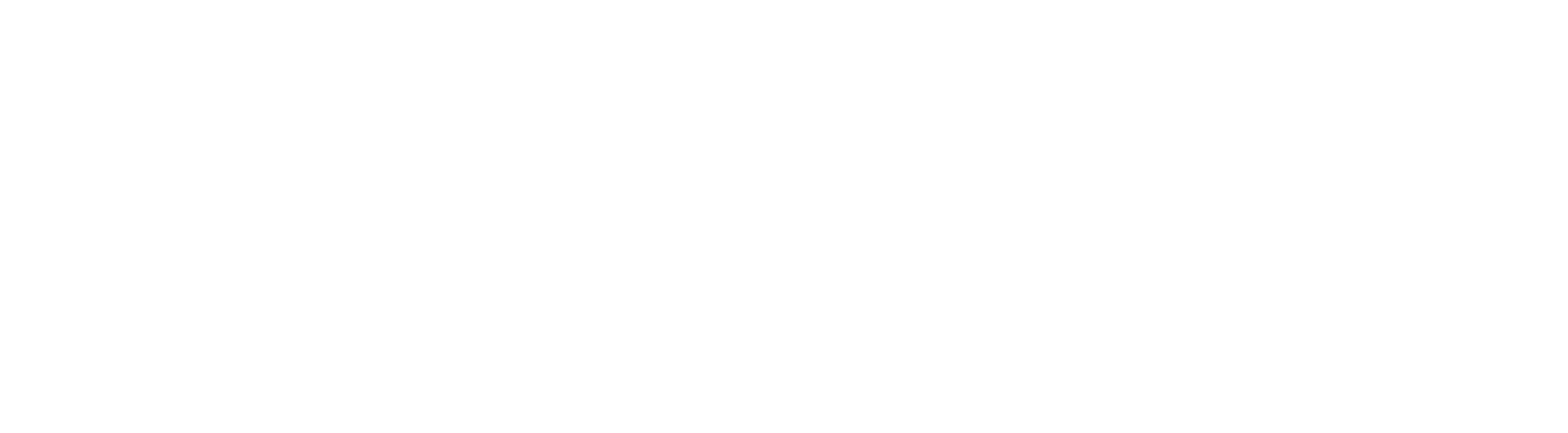 FRONIUS-BLANCO.png