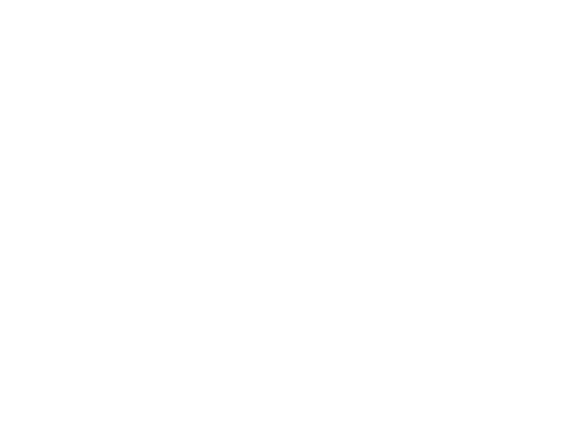 LONGI-BLANCO.png