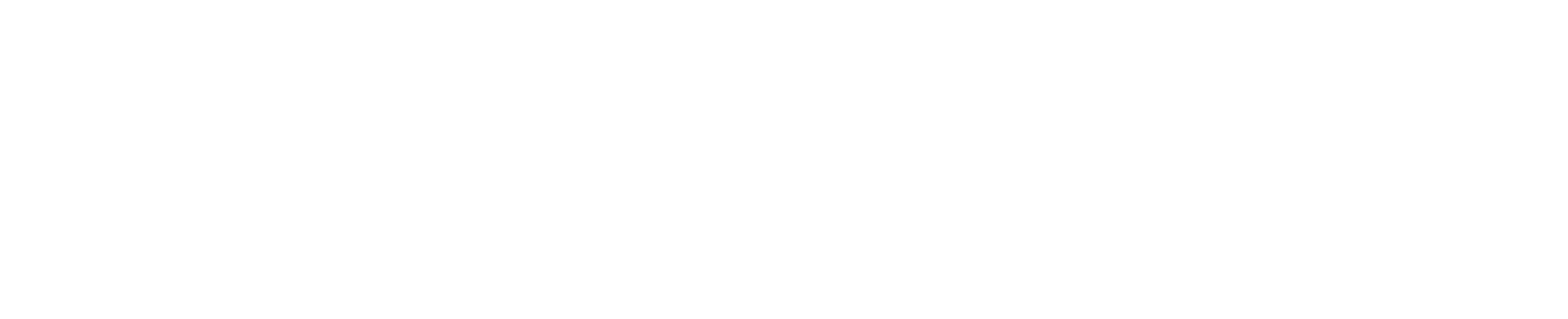 MORNINGSTAR-BLANCO.png