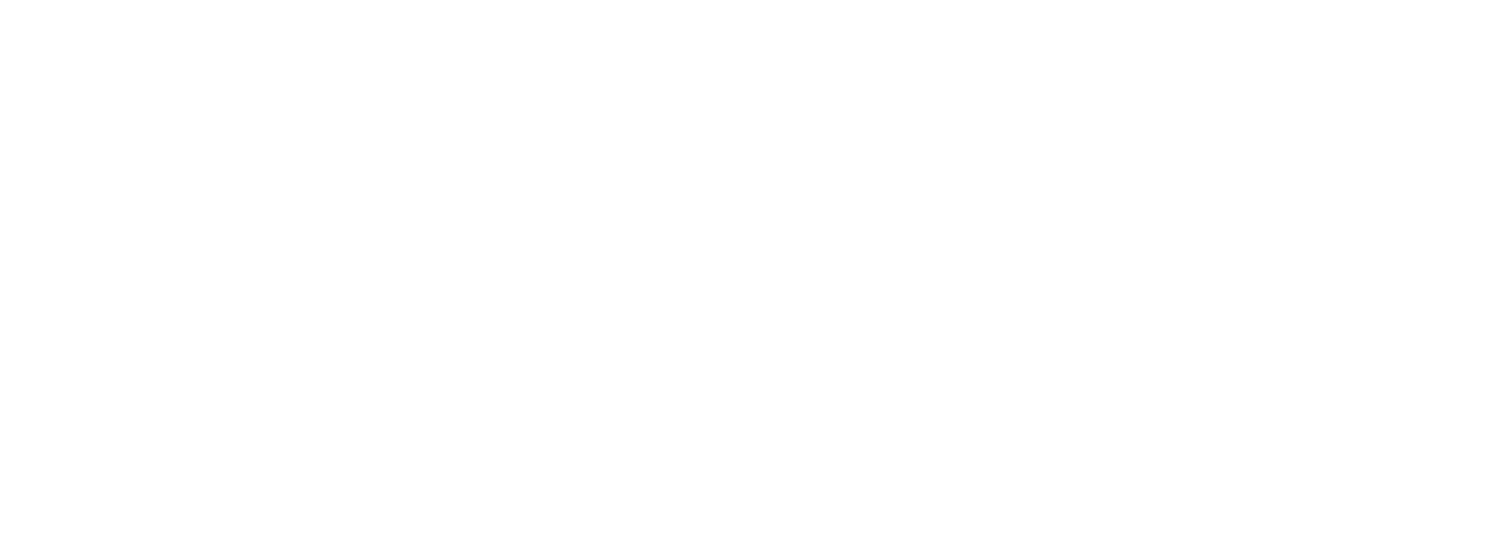 OMNIK-BLANCO.png