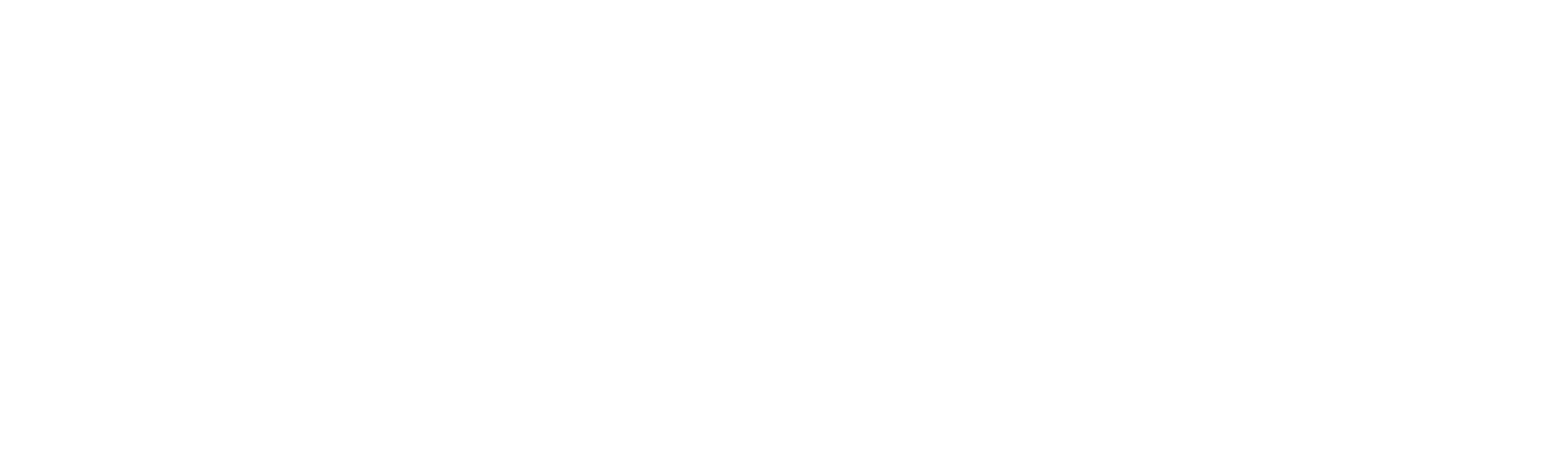 maxell_blanco.png
